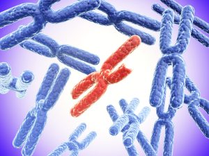 Broken red X chromosome and full blue X chromosomes on abstract background